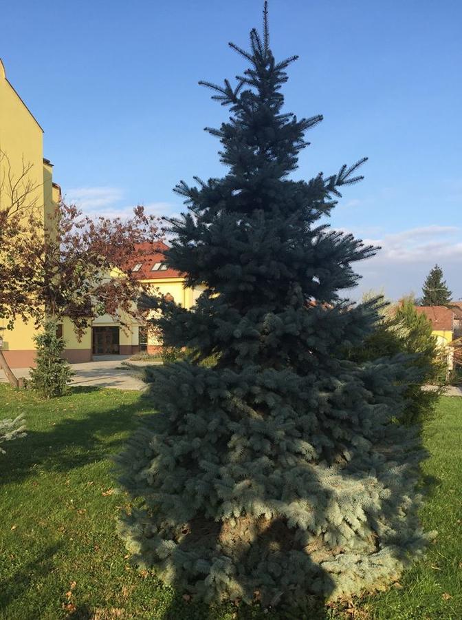 MAMRE Szálló Hajduboszormeny Esterno foto