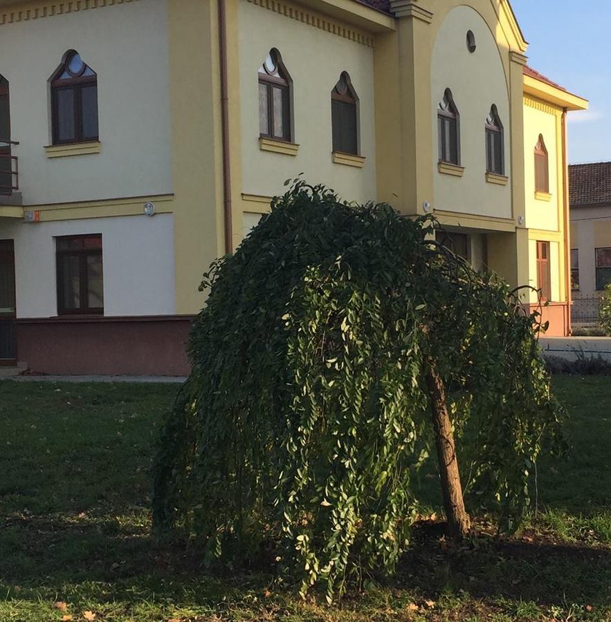 MAMRE Szálló Hajduboszormeny Esterno foto